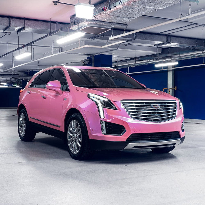 Wild Heather (DS05-HD)